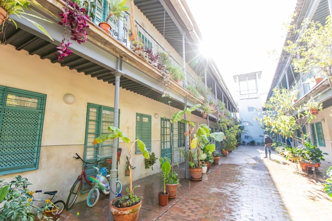 Apartamento 3 Dormitorios En Calle San Vicente. Sevilla Exterior foto
